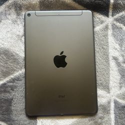 iPad Mini (5th Gen)