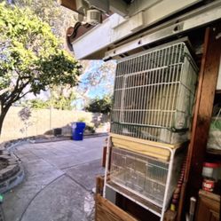 Birds Cage 