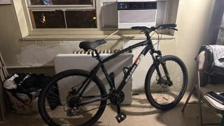 Men Raleigh mountain bike