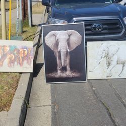 Beautiful Elephant Paintings