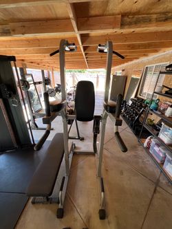 Pull Up and Ab Roman Chair Commercial Gym Grade