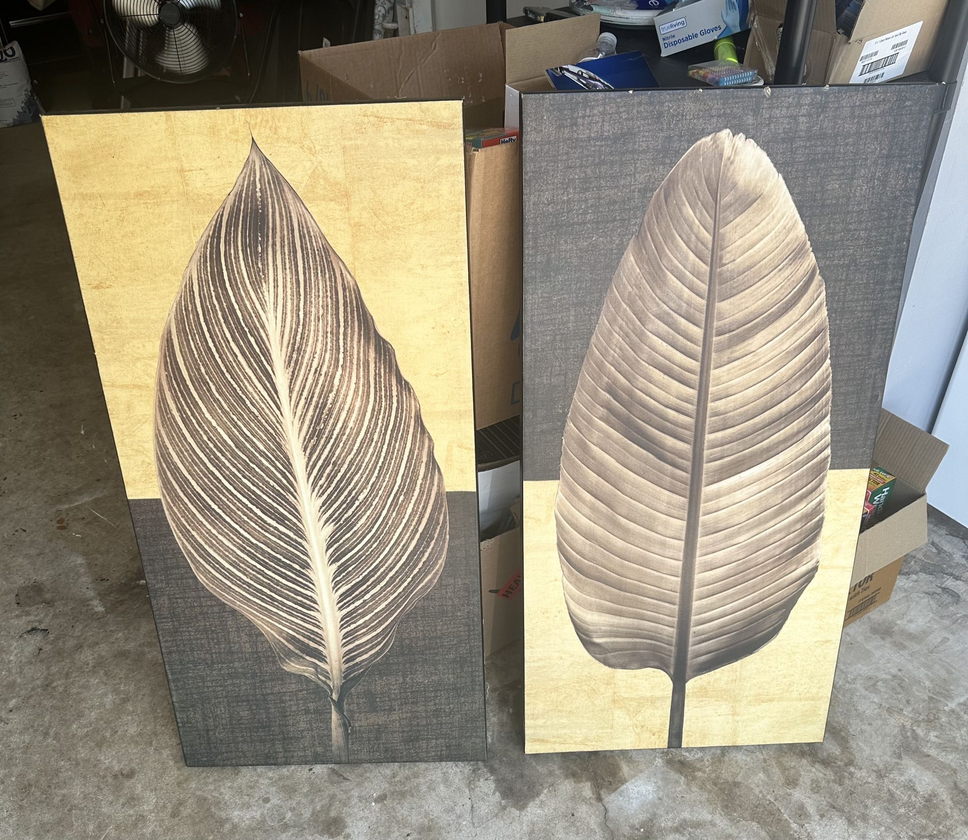 Leaf Portraits