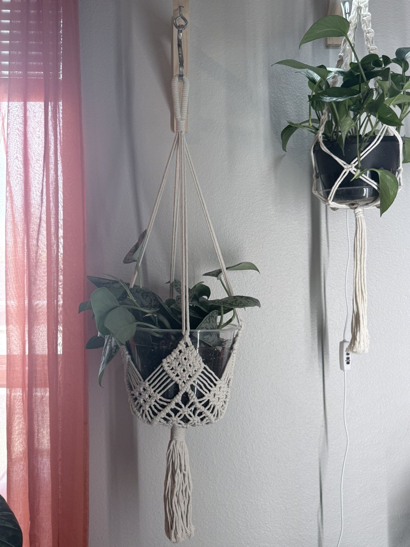 Plant hanger