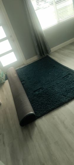 Blue rug two piece sectional 10 x 8