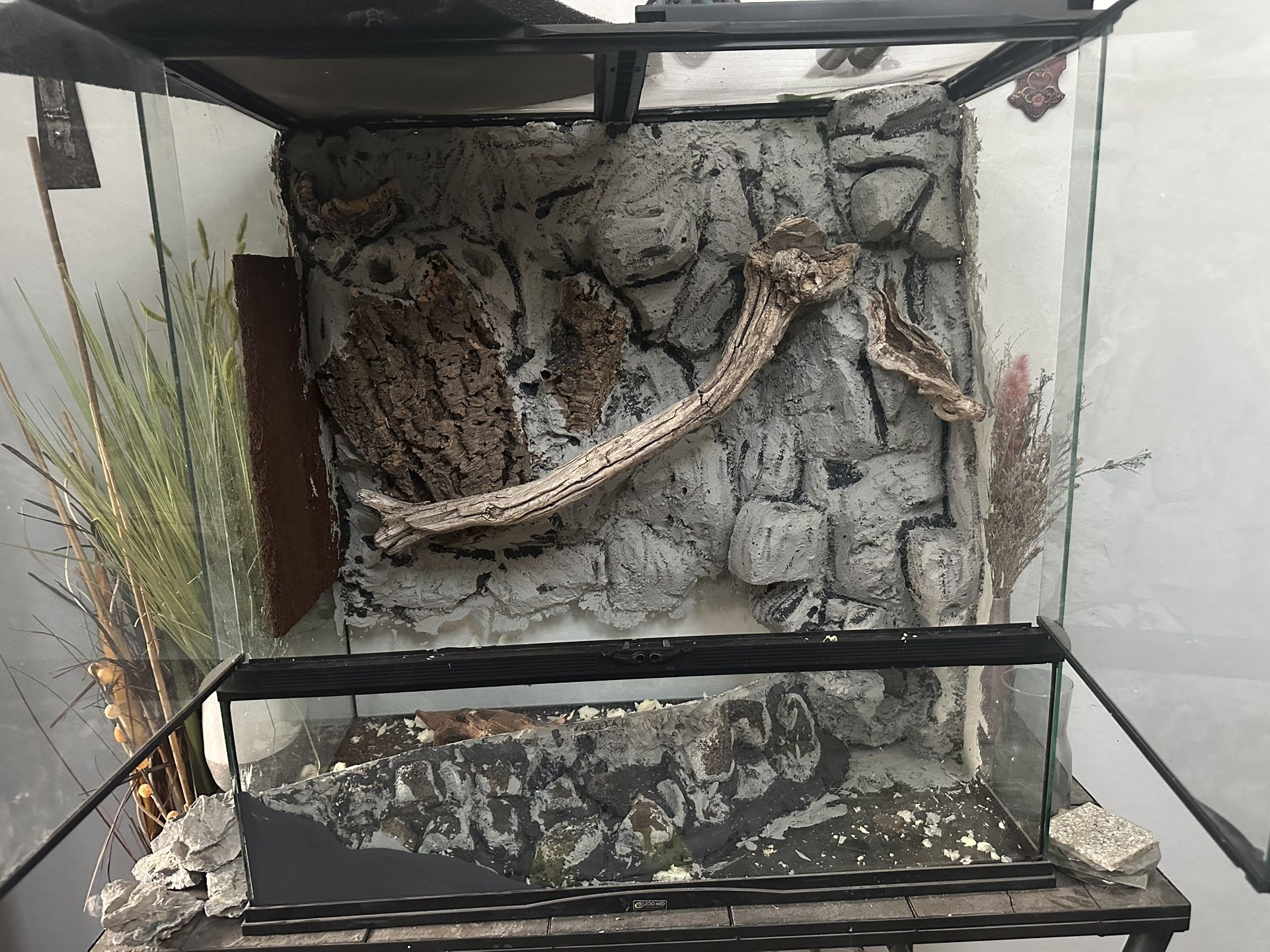 36x18x36 Zoomed Palludarium-Unfinished