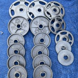 Hampton Olympic Weights 