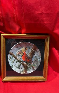 Encyclopedia Britannica Birds of Your Garden Collection Collecotrs The Cardinal