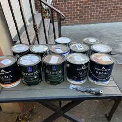 Benjamin Moore /Sherwin Williams Paint Bran New Gallon $30 Each