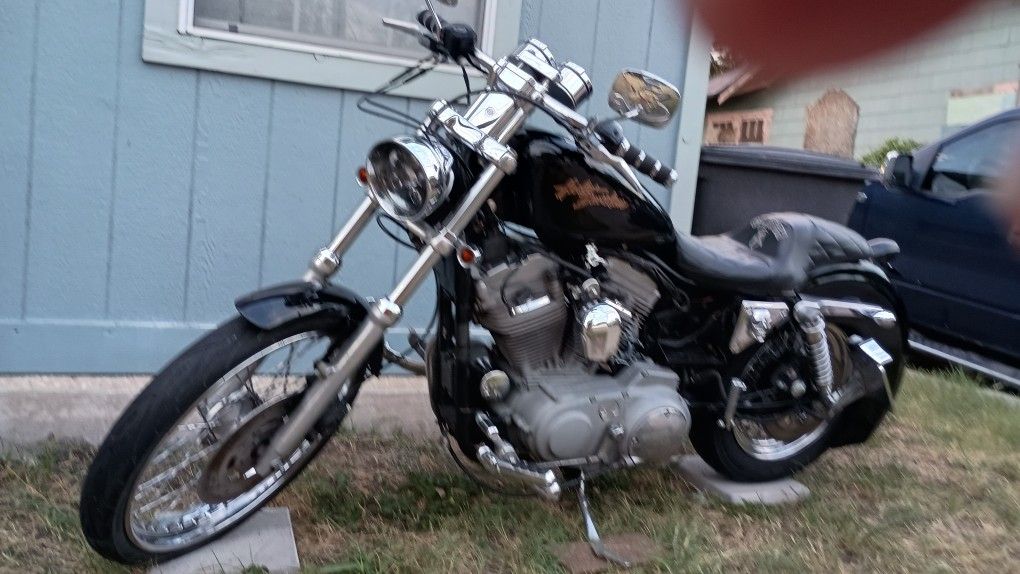99 Harley Davidson Sportster 1200 XL
