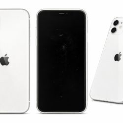 iPhone 11 | Excelente Estado | iCloud & Face ID