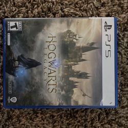 Hogwarts Legacy Perfect 