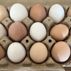 Fresh Homegrown Eggs 