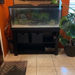 55 Gallon Fish Tank w/ Decorations