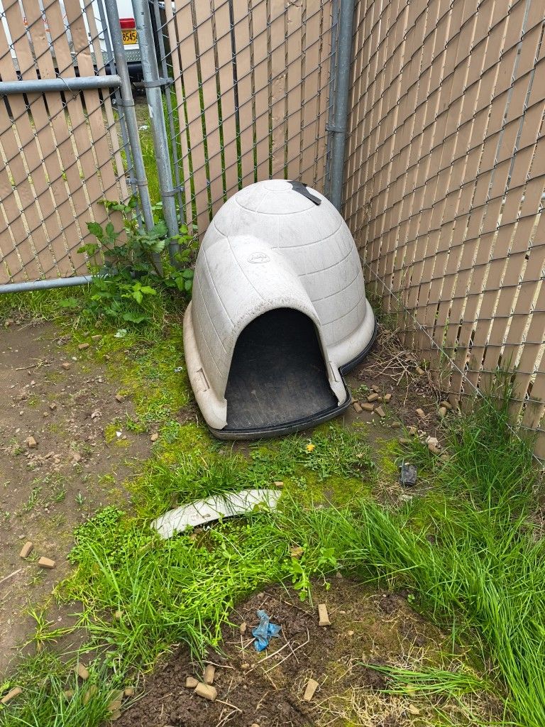 Dog House