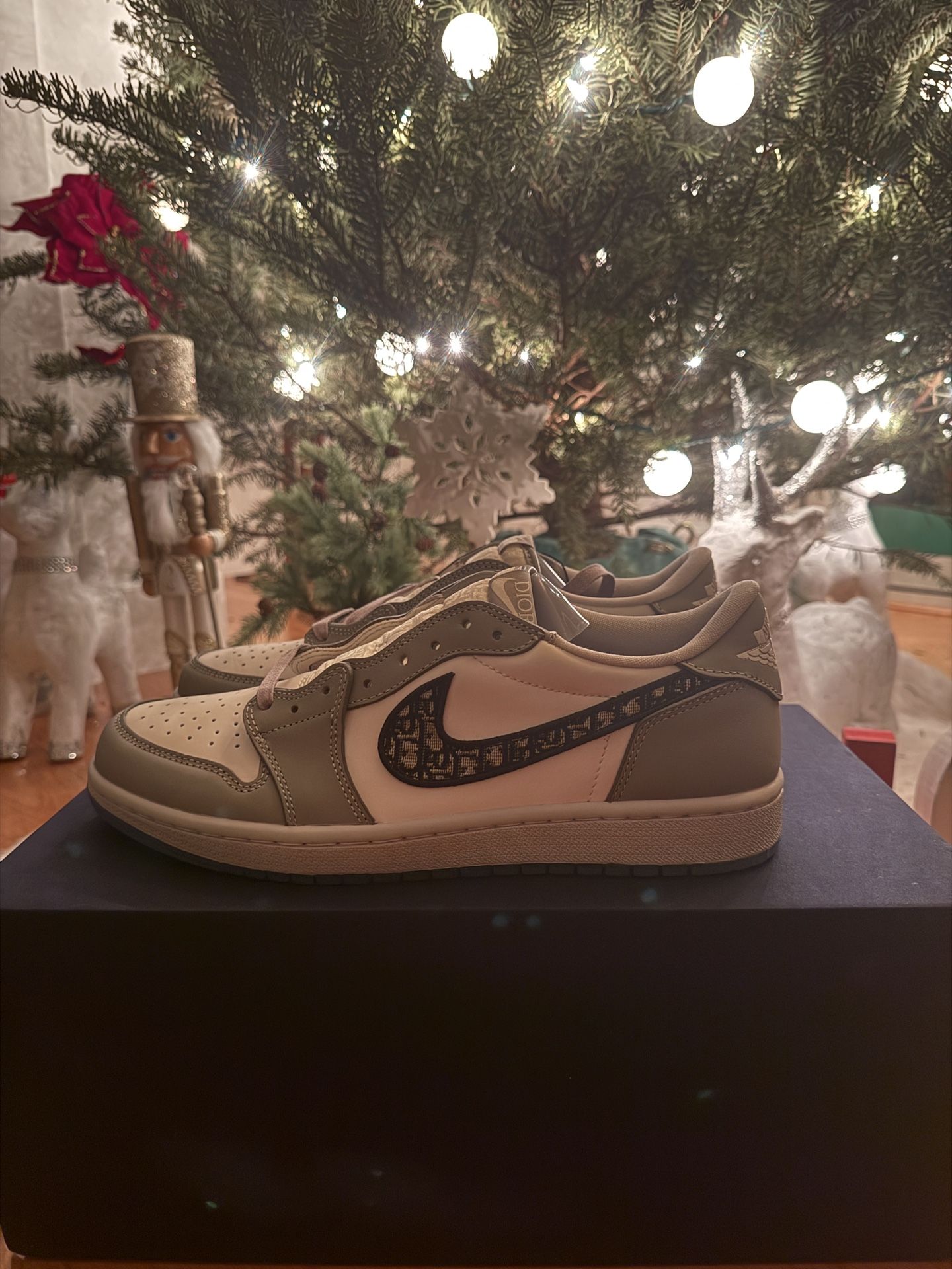 Jordan 1 Dior lows