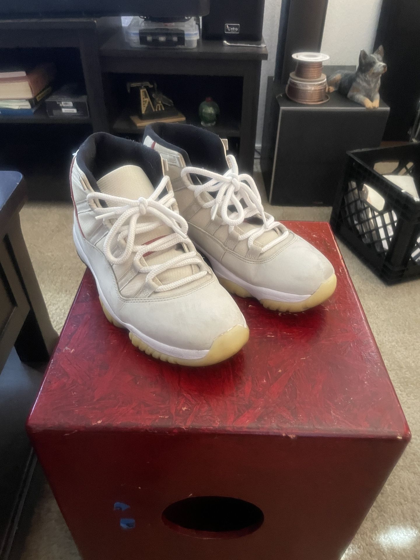 Jordon 11 Size 10.5