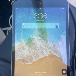 iPad Mini 2 