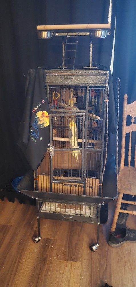 Bird Cage And Cover
