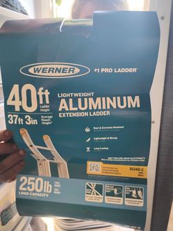 Werner 40ft ladder
