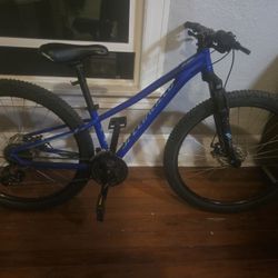 Specialized Pitch Women's Bicycle Xs Frame