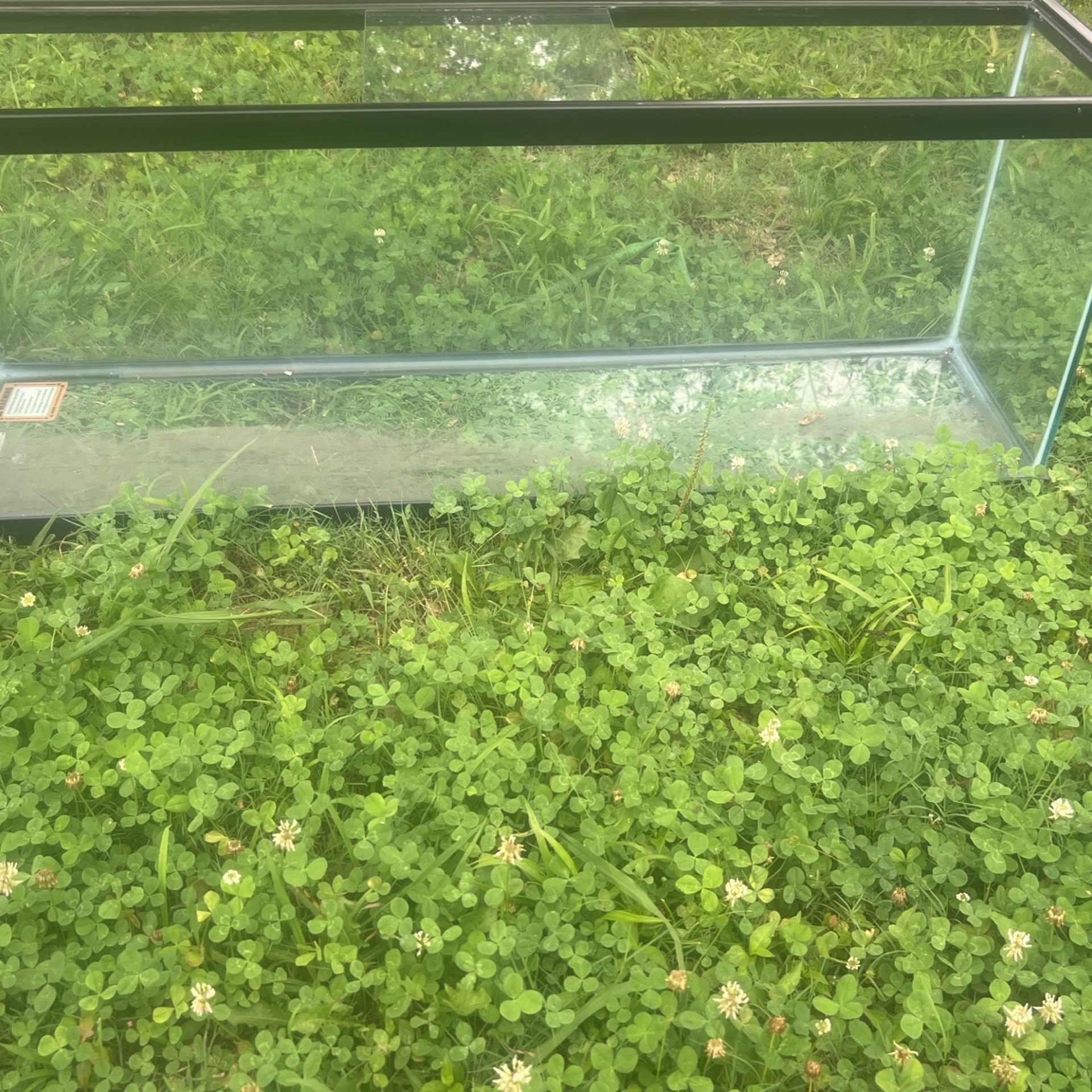50 Gallon Aquarium New