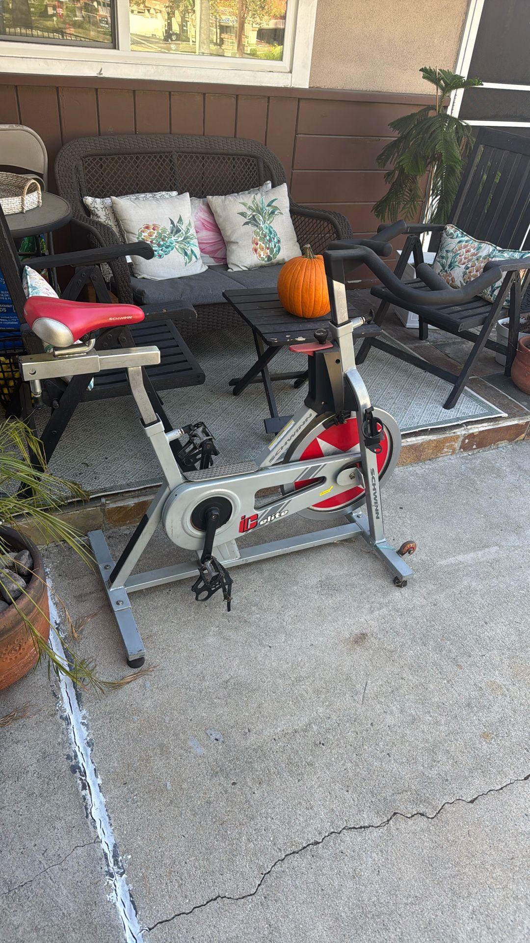 Free Exercise Bike