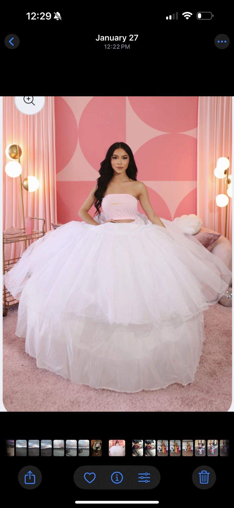 QuinceaƱera Crinolina