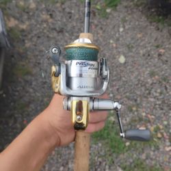 Fishing Pole And Reel With Line 