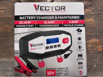Vector battery charger and maintainer