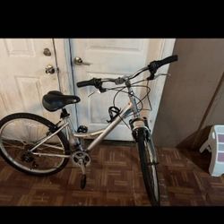 Grey Nishiki Bike
