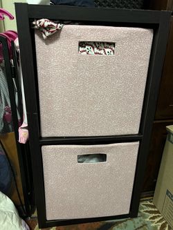 Shelf with two bins