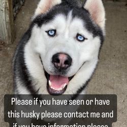 🩵 M Name Is Dante And F Name Is Kiara 