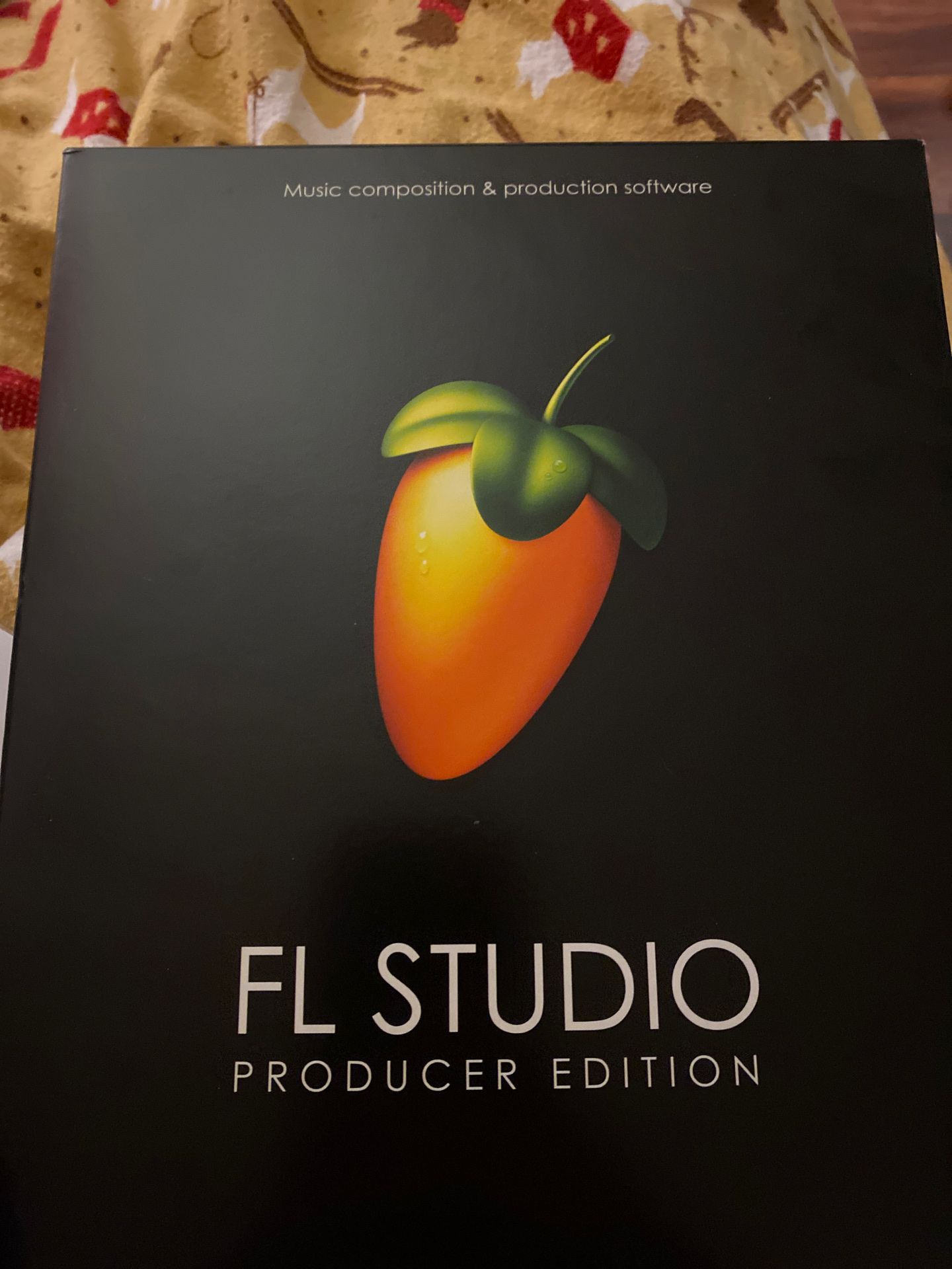 FL STUDIO (fruity loops) REAL INQUIRIES ONLY