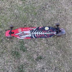 SKATING LONG BOARD!!!