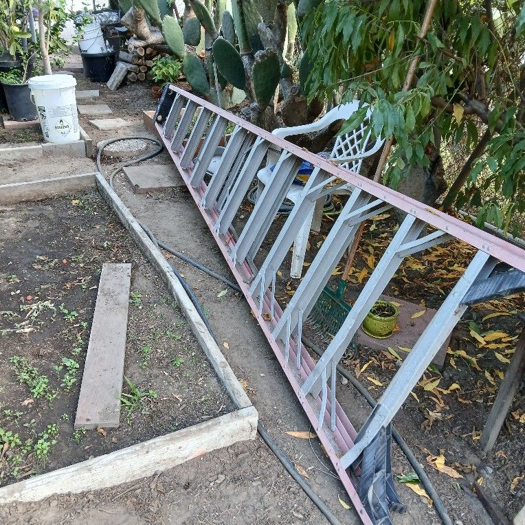 12 Ft Ladder