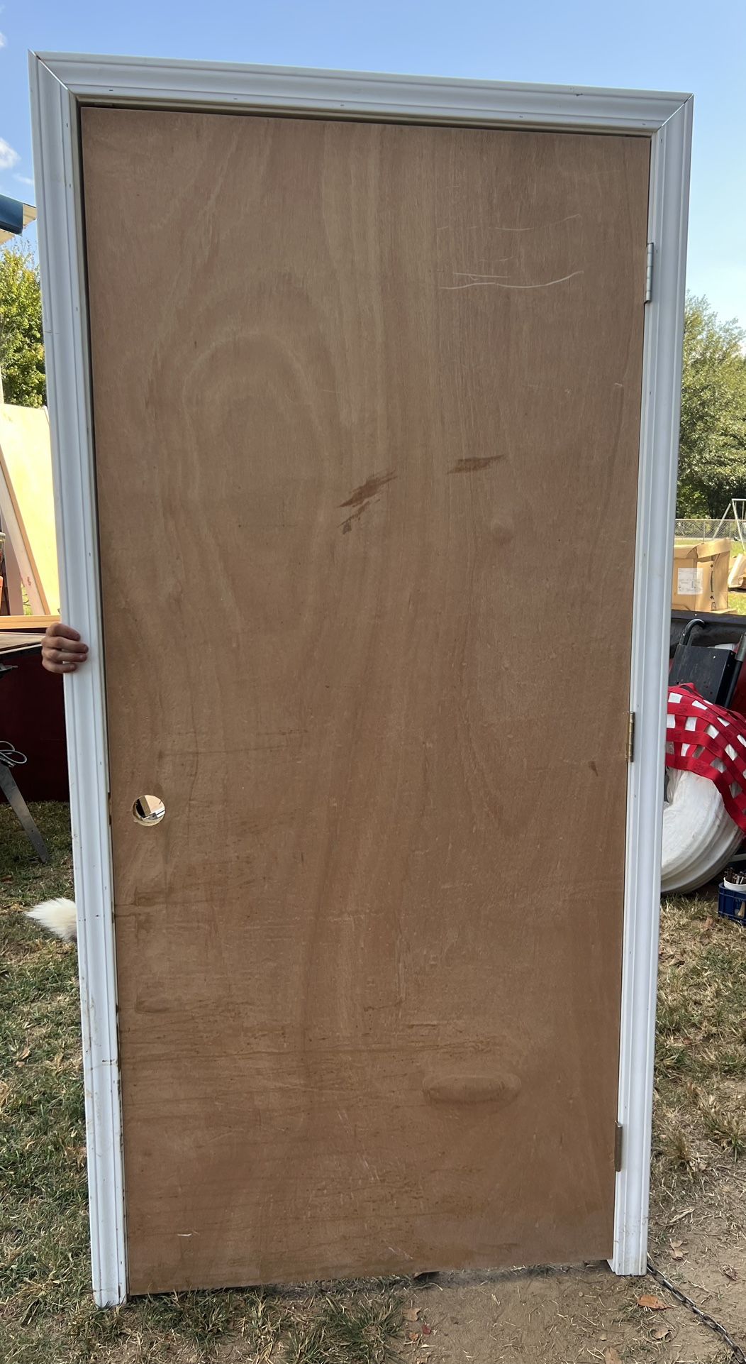 36x81 Door