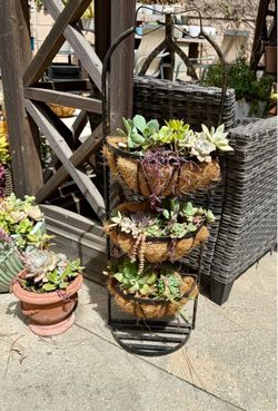 3 tiered succulent planter