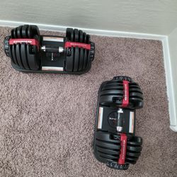 Bowflex Weights