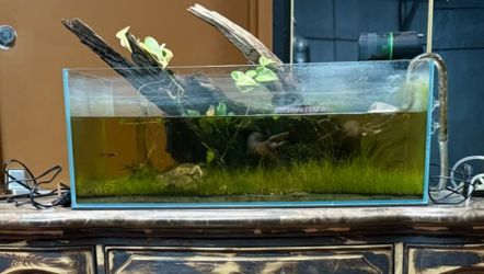 Rimless aquarium 22 gal