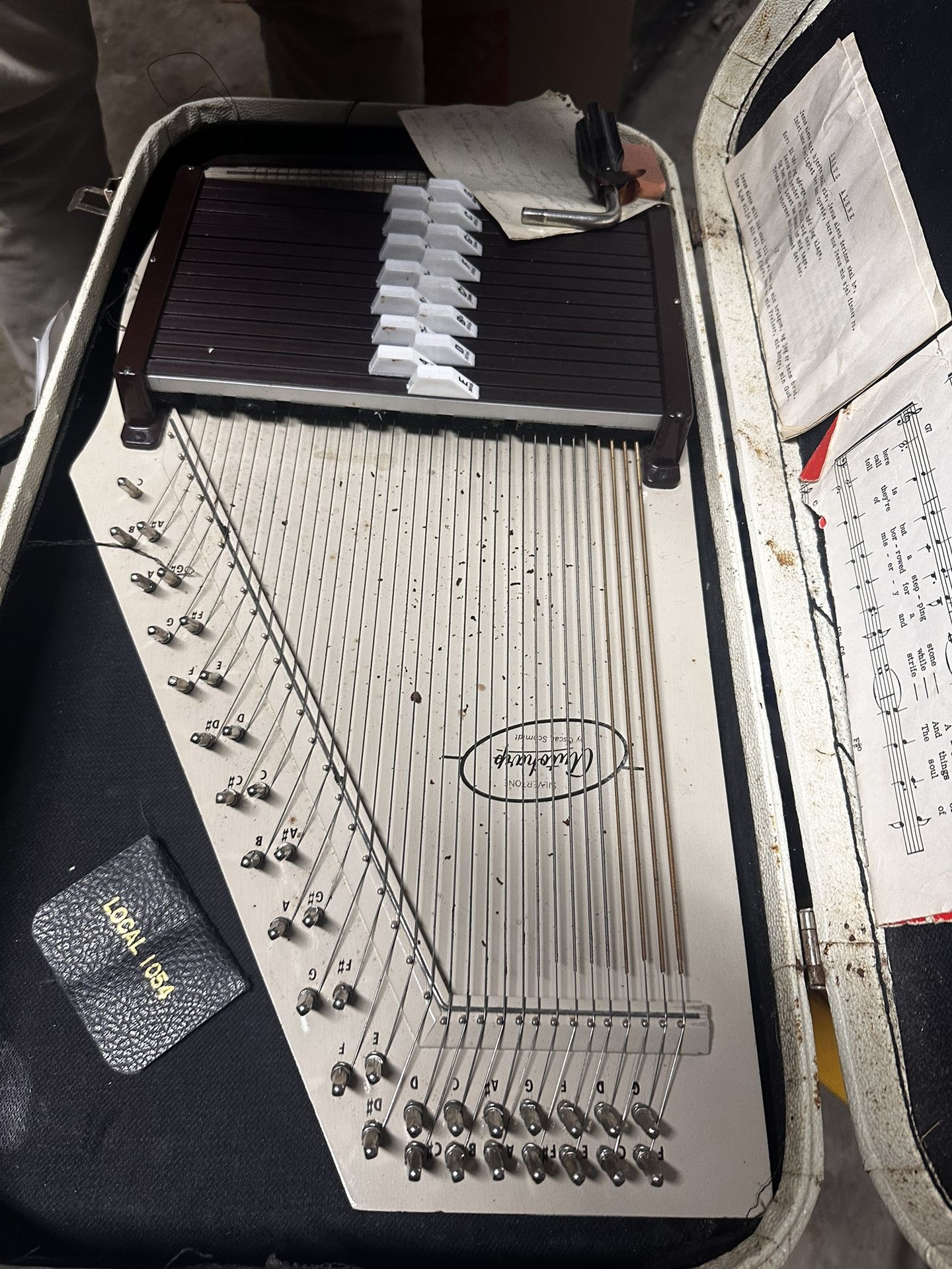 VTG Oscar Schmidt Silvertone Autoharp36 String Hard Case