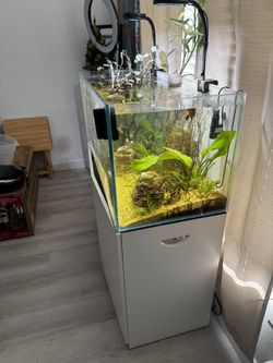 72.2 Gallon Landen Aquarium | Stand | FX4