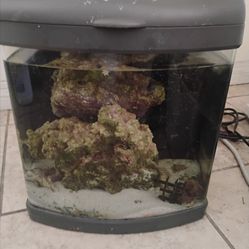 10 gallon AIO Saltwater Aquarium