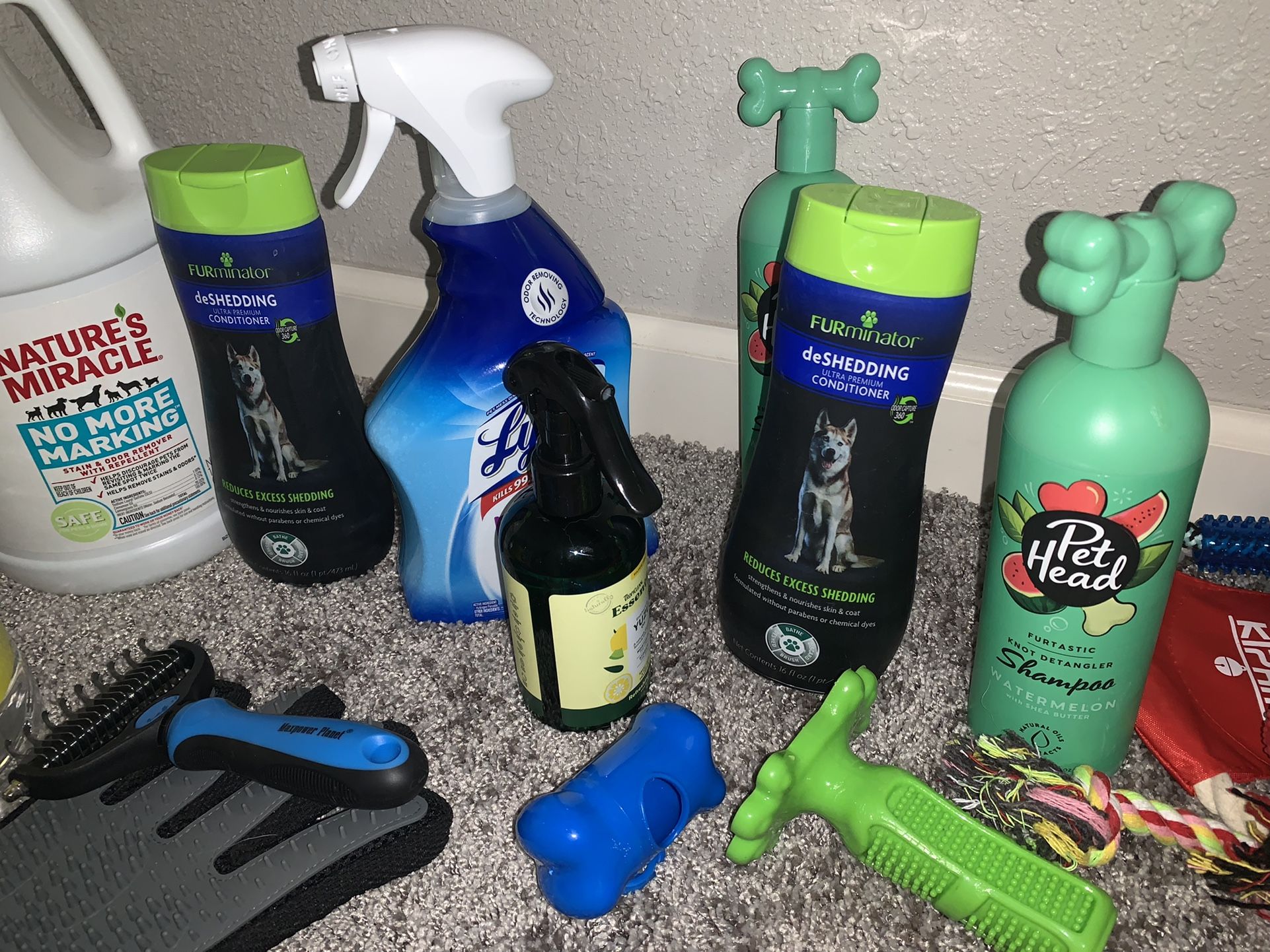 DOG SUPPLIES EVERYTHING NEEDS TO GO