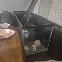 40 Gallon Fish Tank