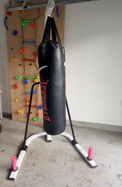 Everlast Punching Bag