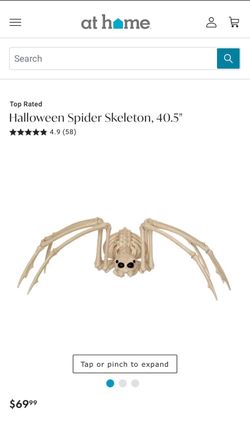 At Home Halloween large Skeleton Spider