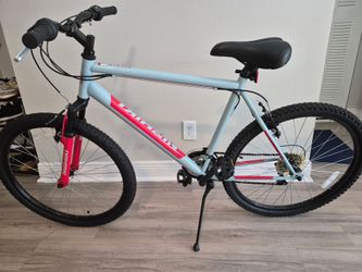 Men Nishiki bike