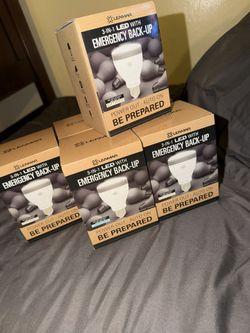 3 In 1 Emergency Light Bulb 