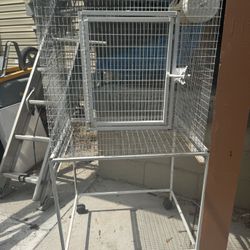 Big Bird Cage 