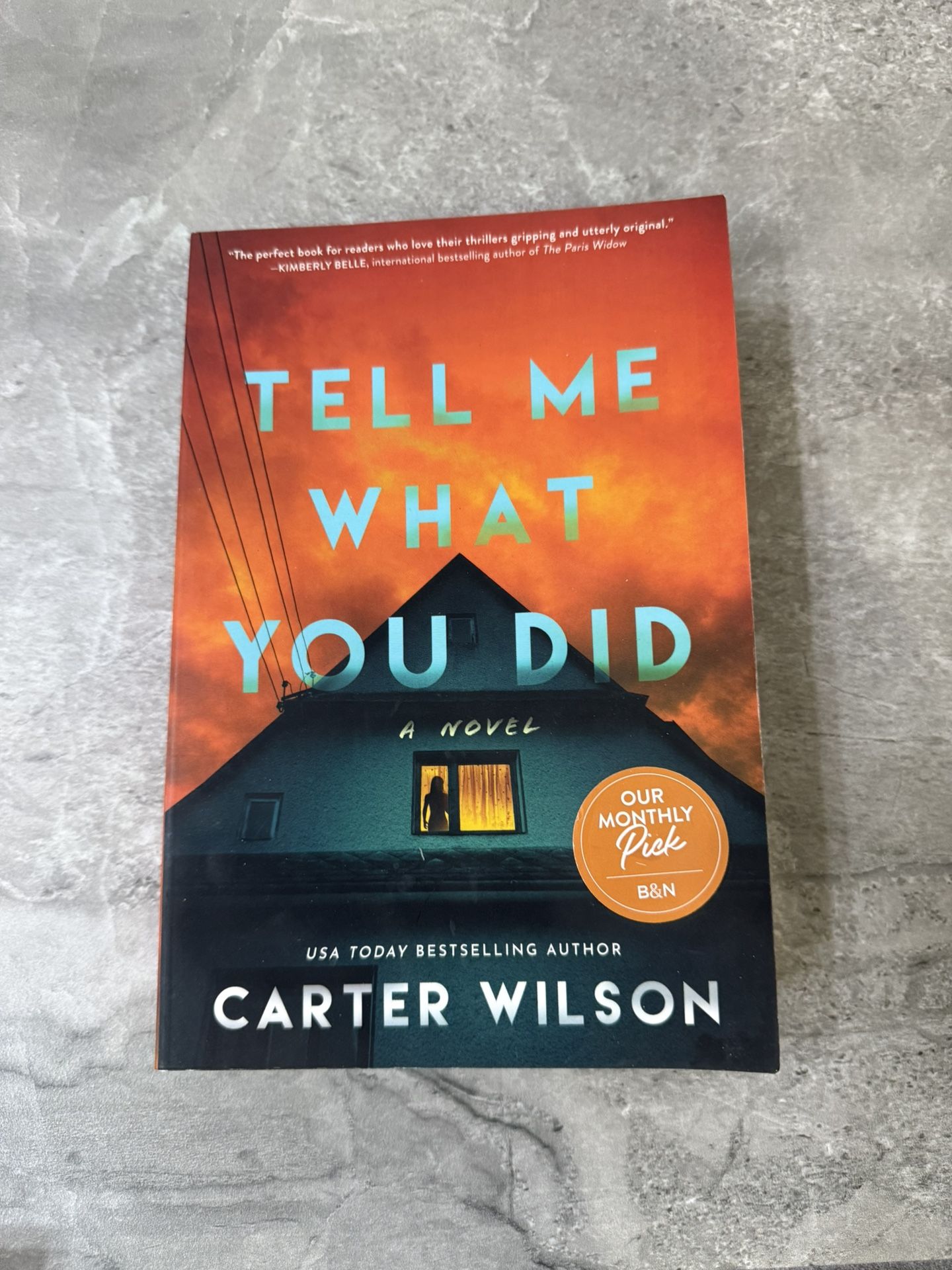 Tell Me What You Did Book